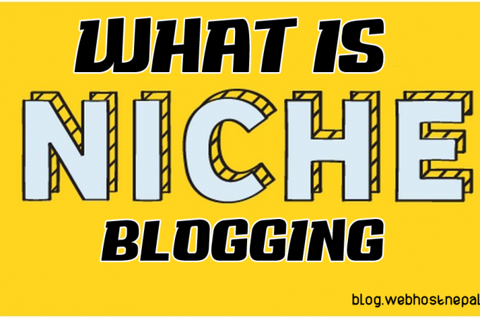 What is niche blogging?